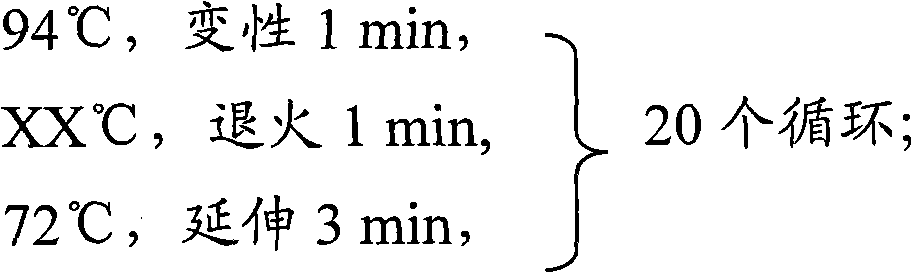 Use method of DGGE (Denatured-Gradient Gel Electrophoresis) technique