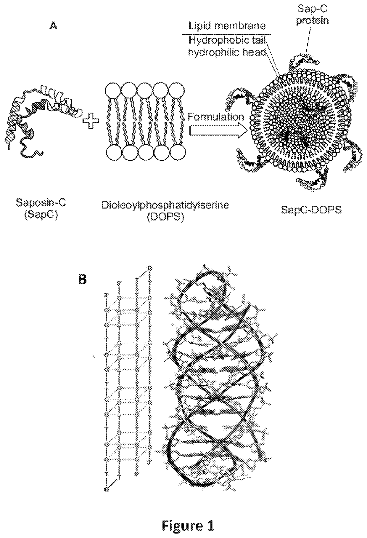 Combination of AS1411 and SAPC-DOPS for the Treatment of Glioblastoma Multiforme