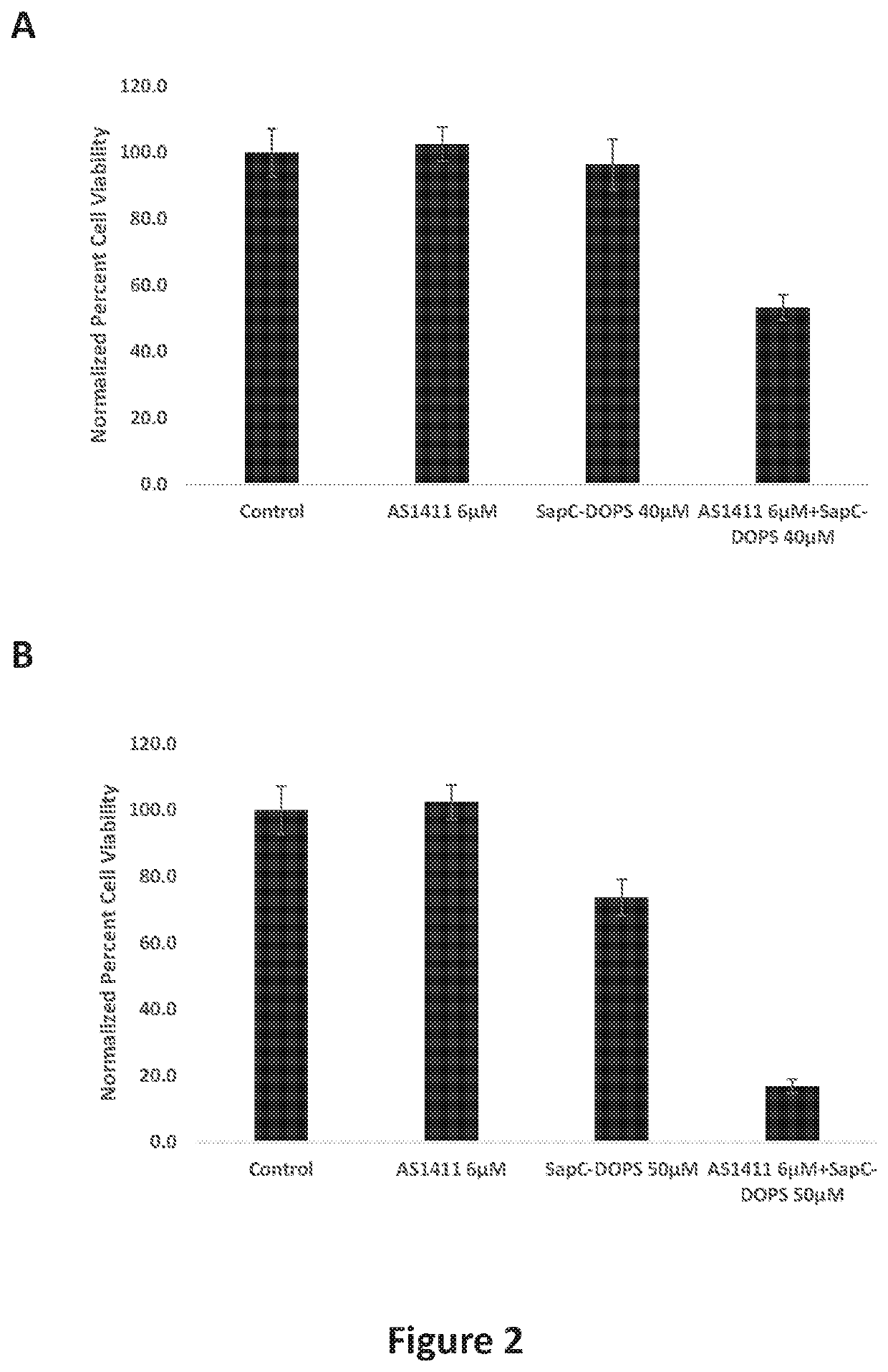 Combination of AS1411 and SAPC-DOPS for the Treatment of Glioblastoma Multiforme