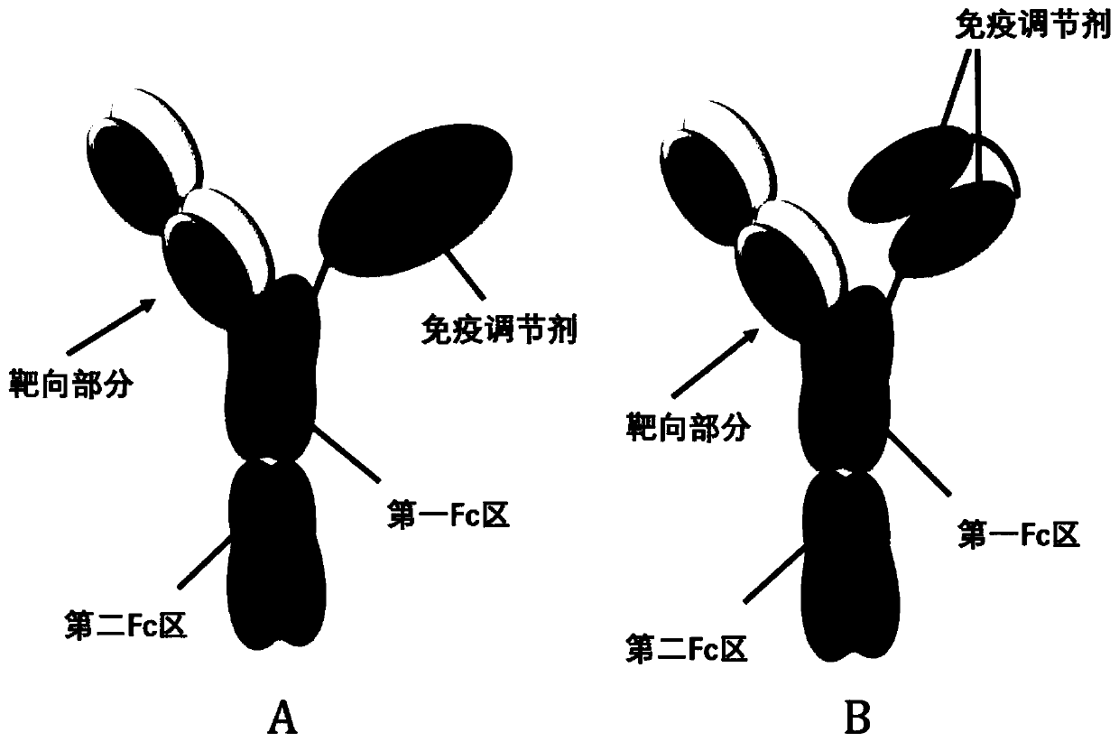 Proteinaceous heterodimer and use thereof