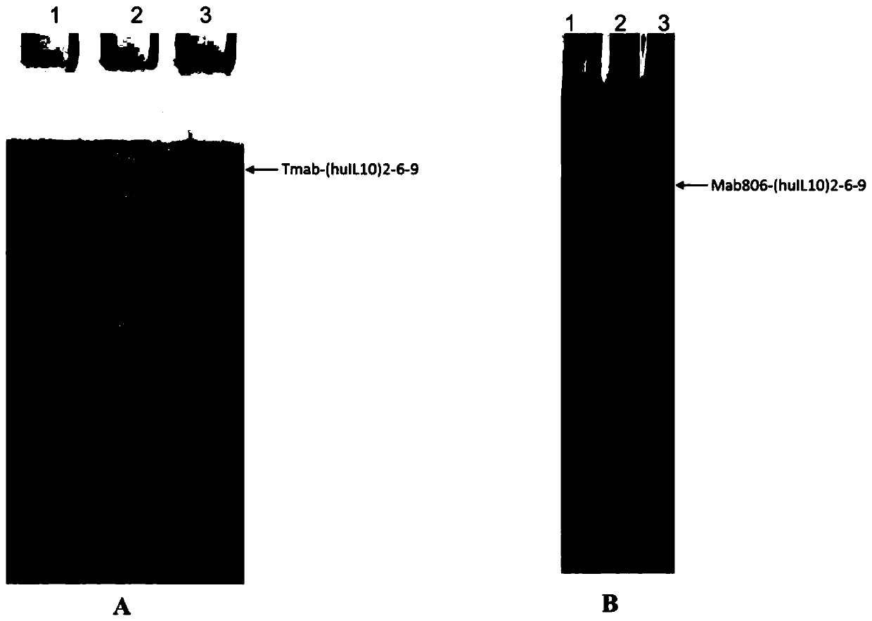 Proteinaceous heterodimer and use thereof