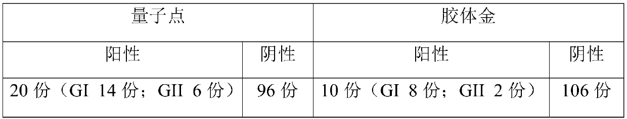 Norovirus GI and GII type quantum dot joint inspection test strip as well as preparation method and application thereof