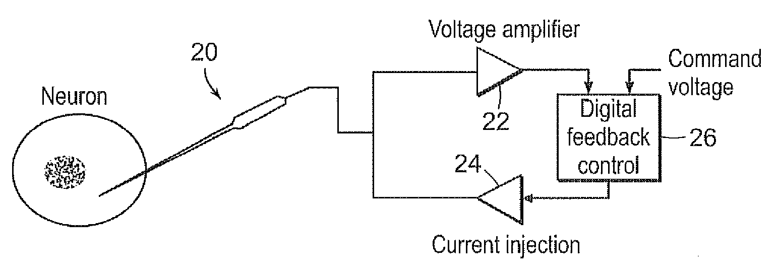 Processor controlled voltage-current analysis for nerve and muscle tissues