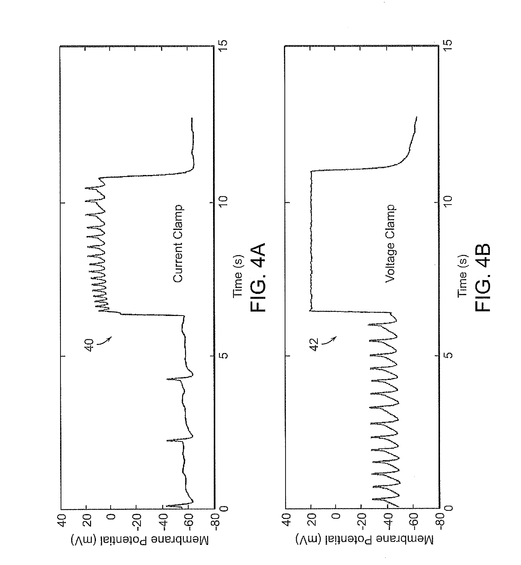 Processor controlled voltage-current analysis for nerve and muscle tissues