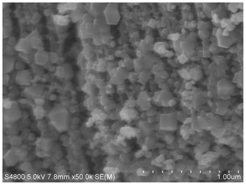 Two-dimensional carbon/boron-titanium dioxide composite oxide, preparation method thereof and application of two-dimensional carbon/boron-titanium dioxide composite oxide in photocatalytic hydrogen production