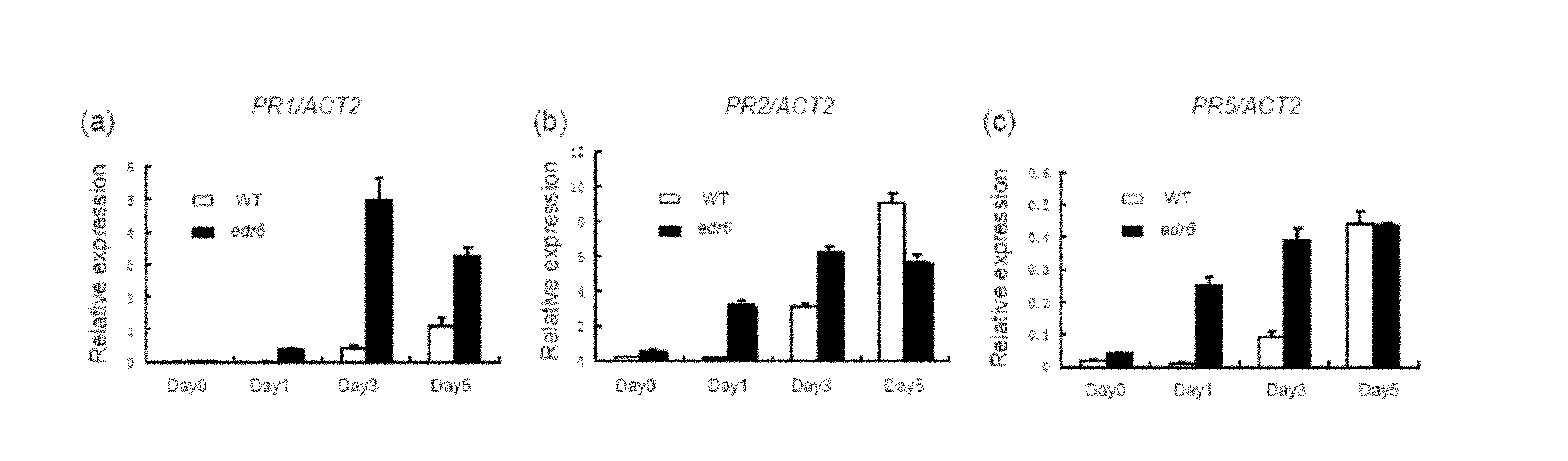 Cloning and application of arabidopsis powdery mildew resistance related gene EDR6