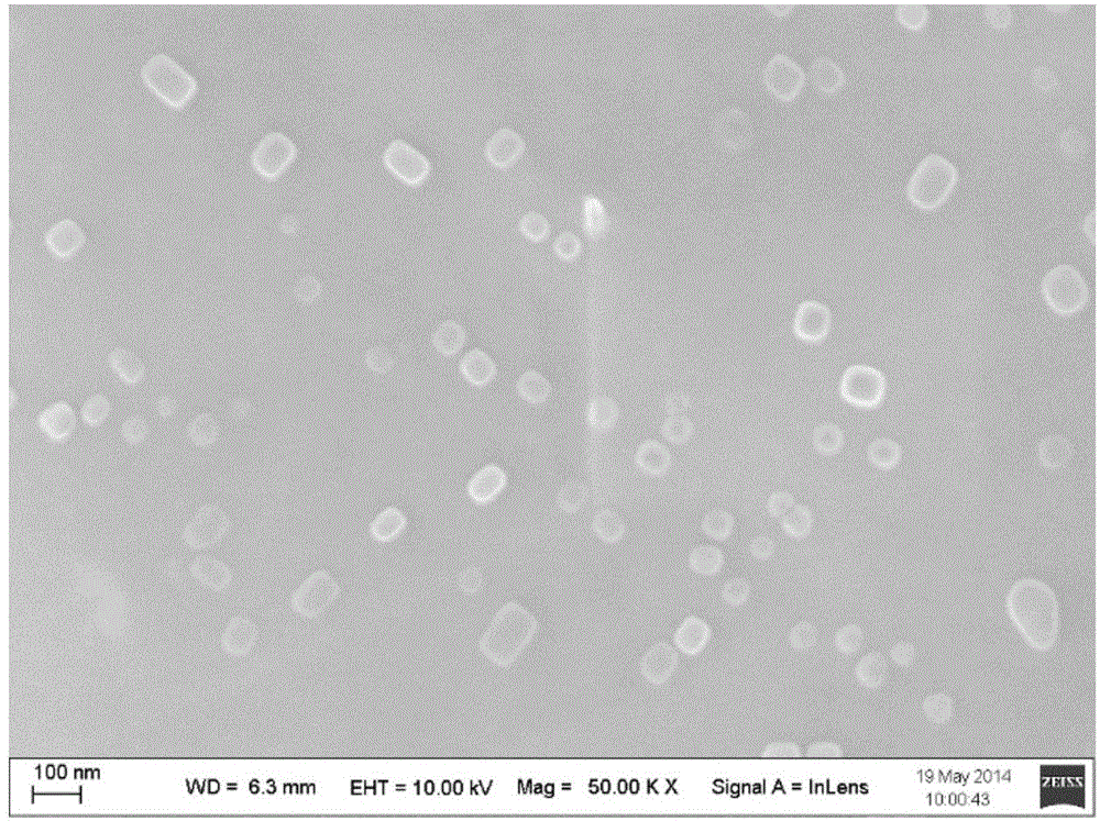 Polyethylene imine-titanium oxide embedded with amine dehydrogenase and preparation method of polyethylene imine-titanium oxide