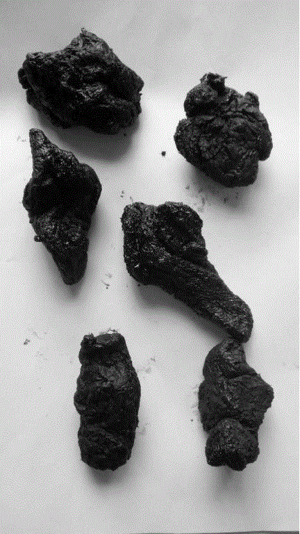 Method for preparing prepared rehmannia roots