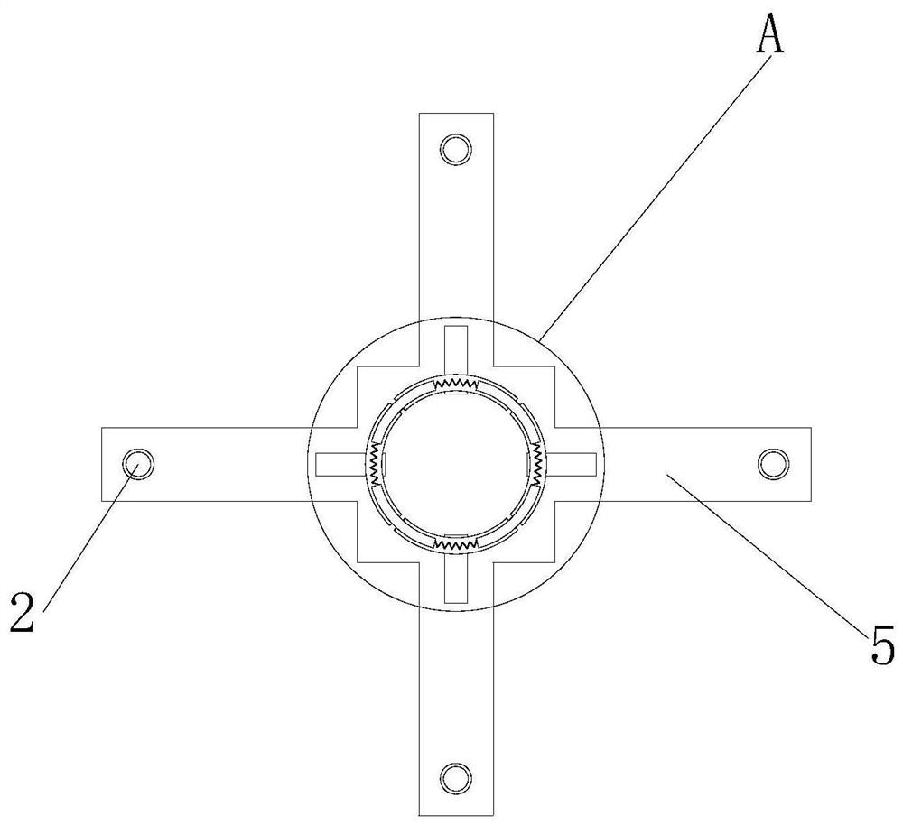 Multifunctional cultivation device for tomato seedling raising and breeding