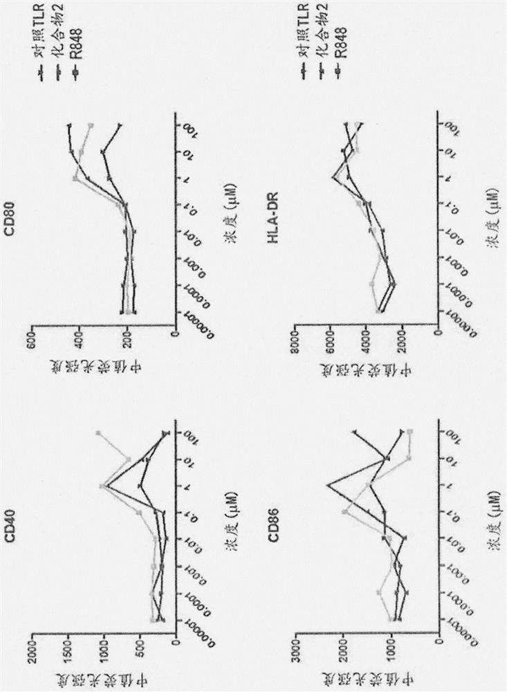 Antibody Adjuvant Conjugates