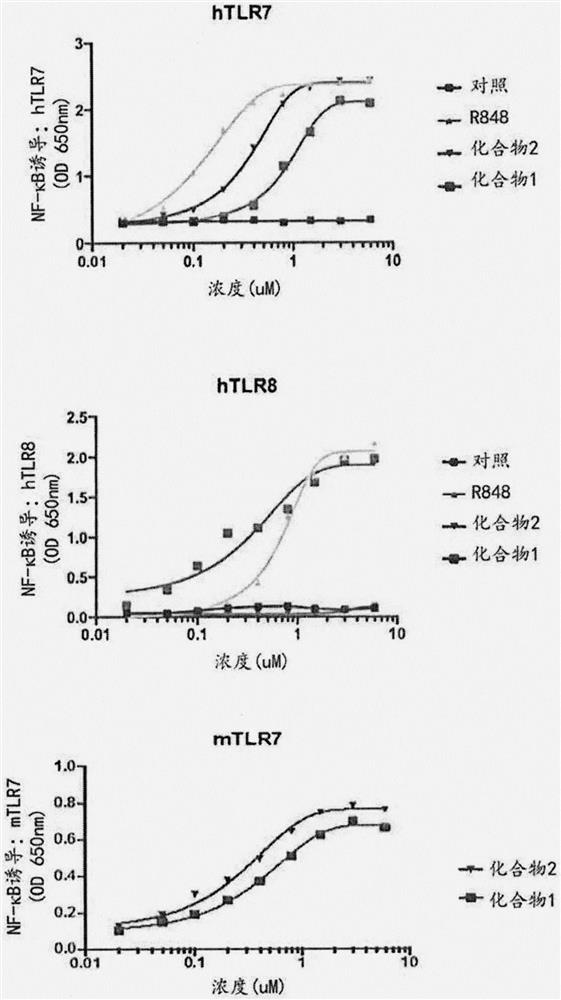 Antibody Adjuvant Conjugates