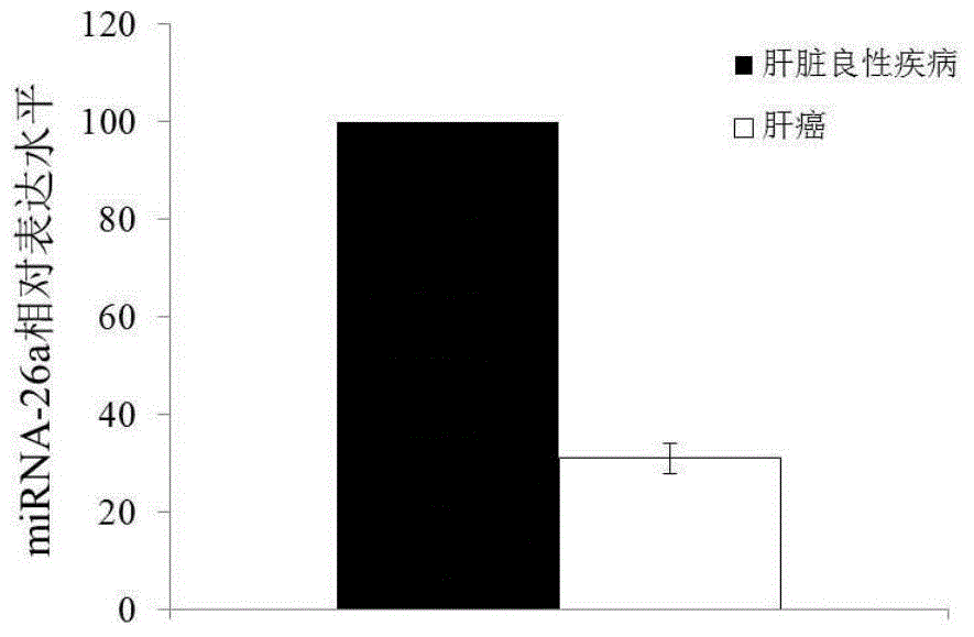 Application of miRNA-26a