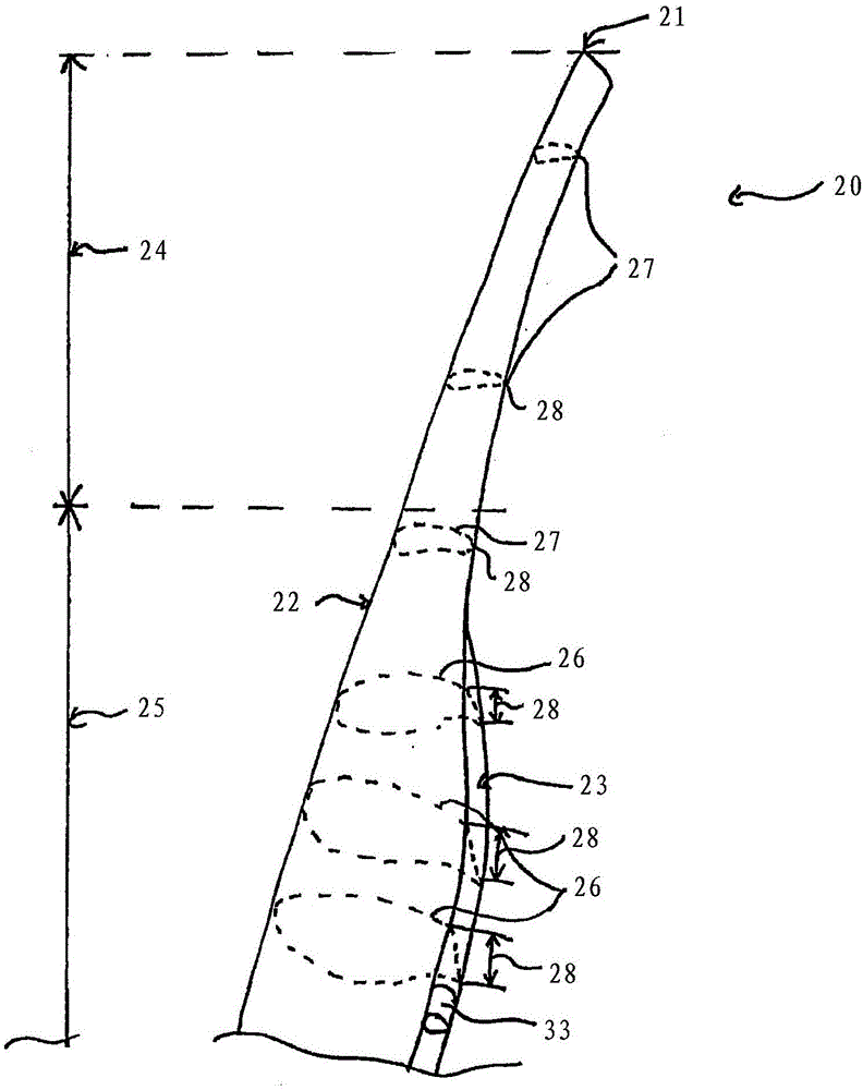 Wind turbine rotor blade