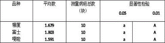 Plant extract composition for preventing and treating apple tree canker, and preparation method thereof