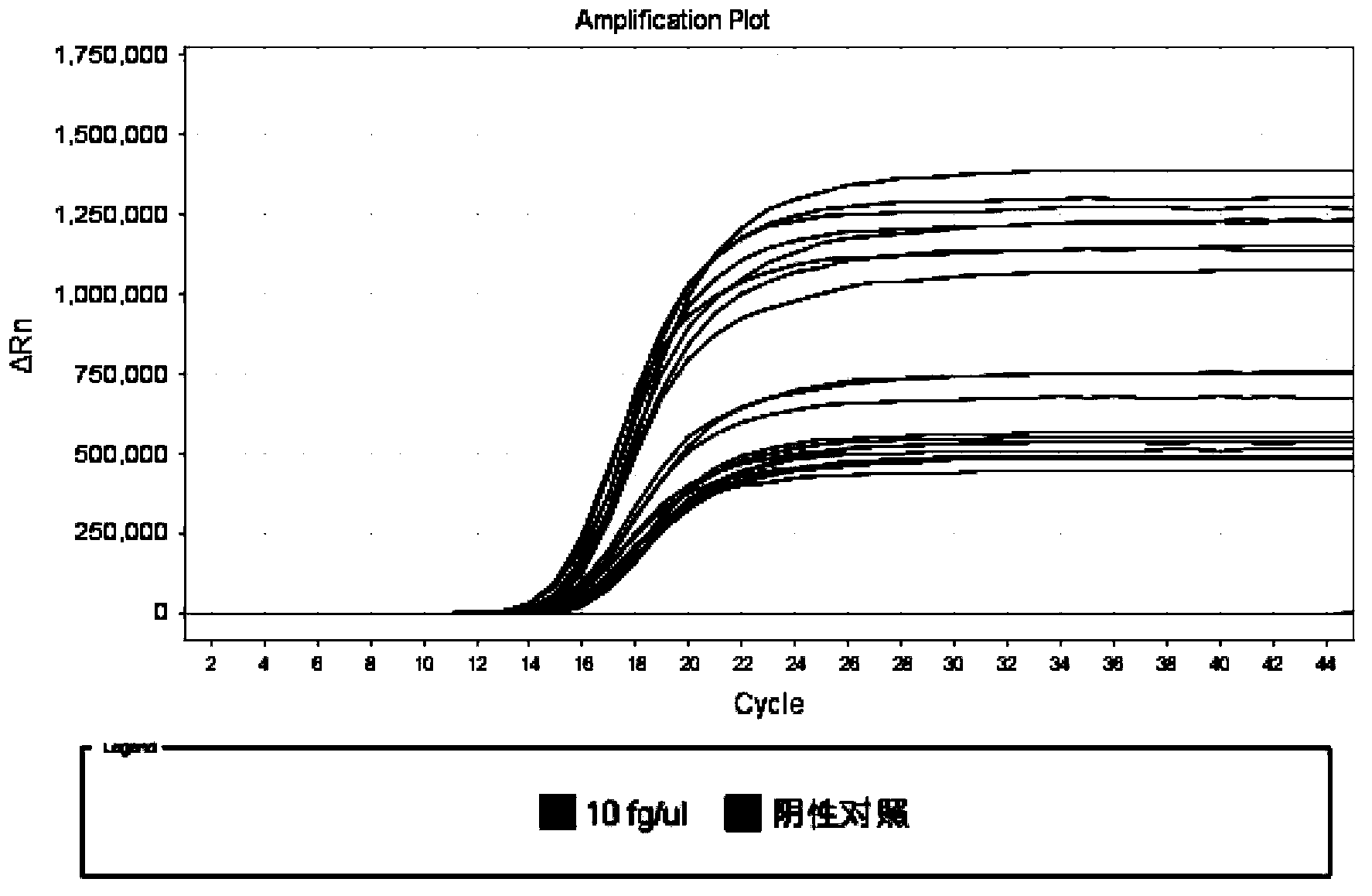 LAMP detection primer, kit and detection method for staphylococcus aureus containing internal standard