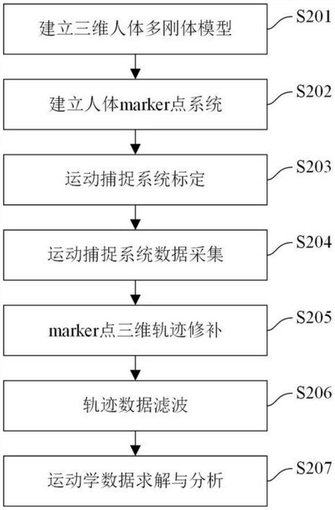 Non-destructive analysis method for stress and strain of human skeleton muscular tissue based on in-vivo physiological movement