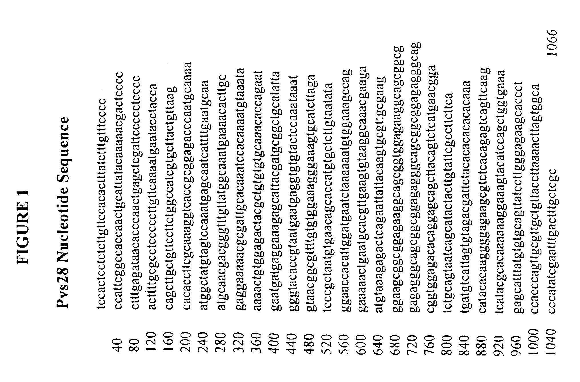 Vaccines for blocking transmission of Plasmodium vivax