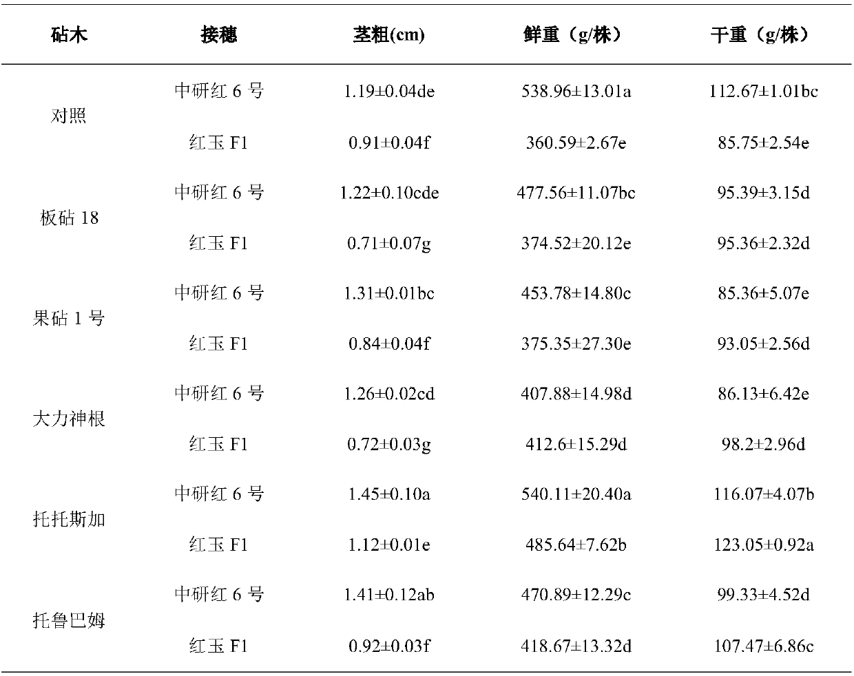 Grafting method capable of significantly improving high-cadmium soil cadmium stress resistance of tomatoes