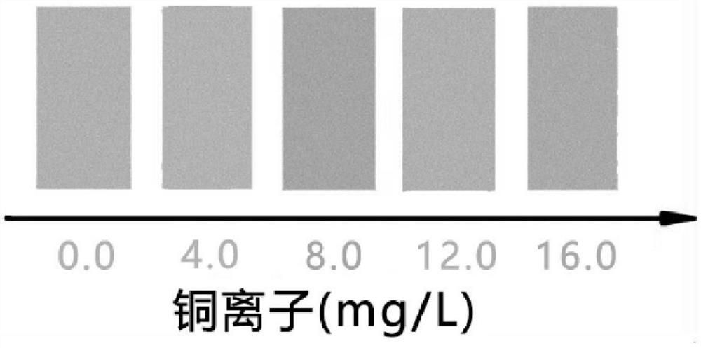 Copper ion rapid detection method and device