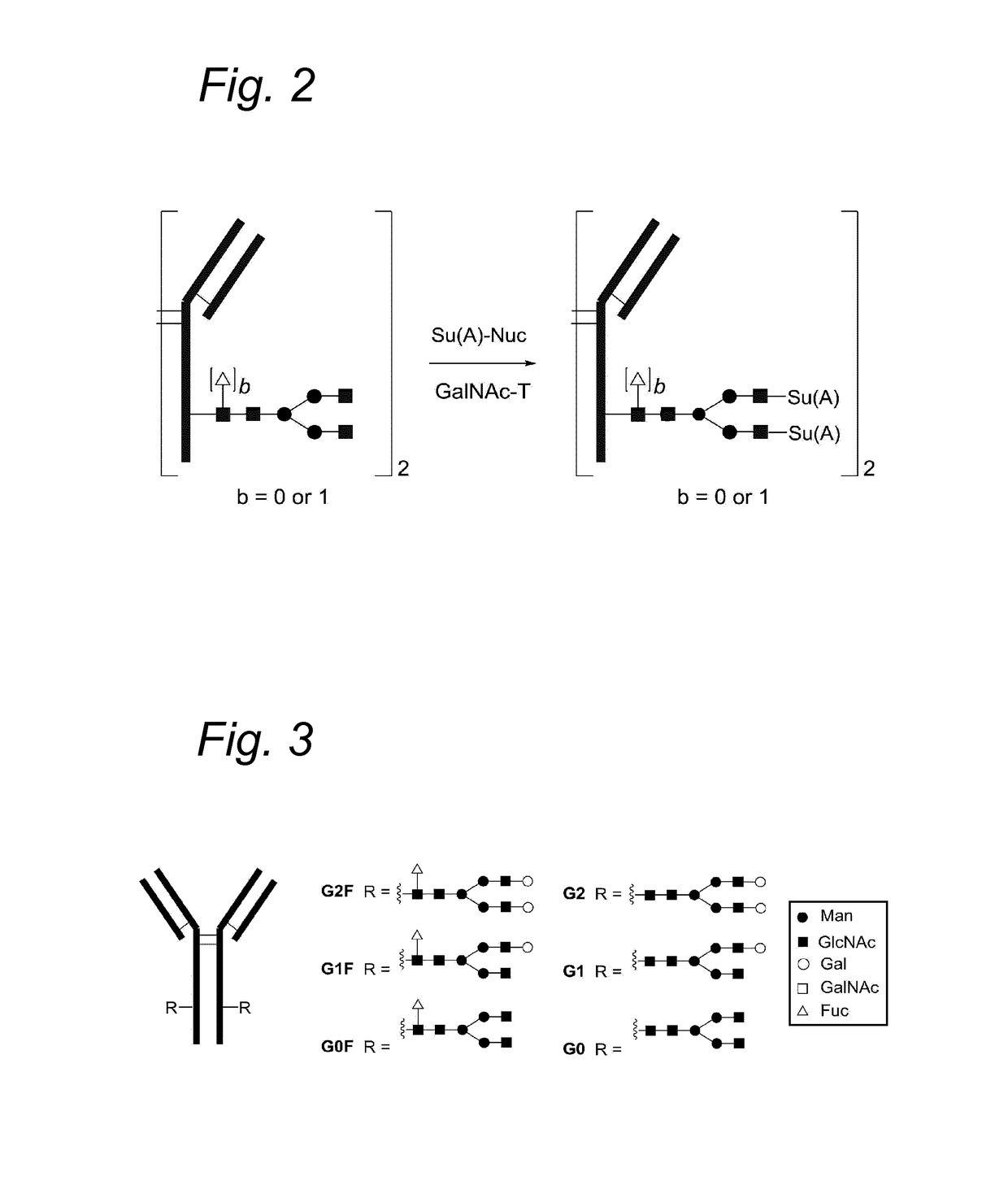 Process for the modification of a glycoprotein using a glycosyltransferase that is or is derived from A β(1,4)-N-acetylgalactosaminyltransferase