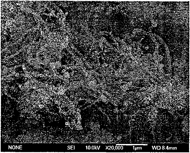 Method for preparing carbon nanometer tube/hydroxyapatite complex powder through in-situ vapour deposition reaction