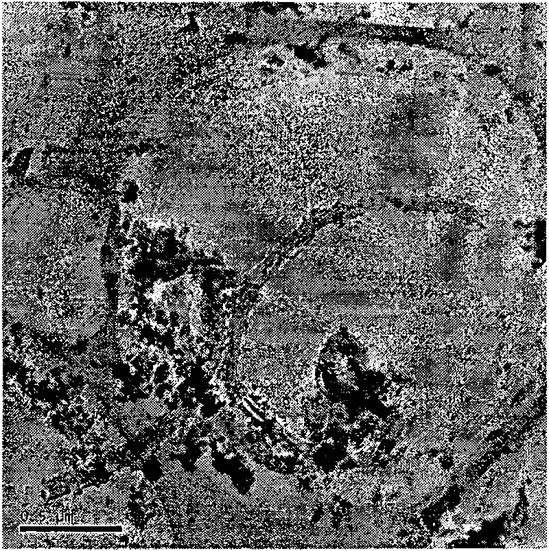 Method for preparing carbon nanometer tube/hydroxyapatite complex powder through in-situ vapour deposition reaction