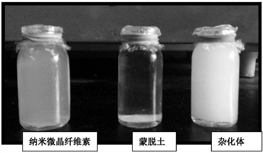 Nano microcrystalline cellulose/layered silicate hybrid and preparation method thereof