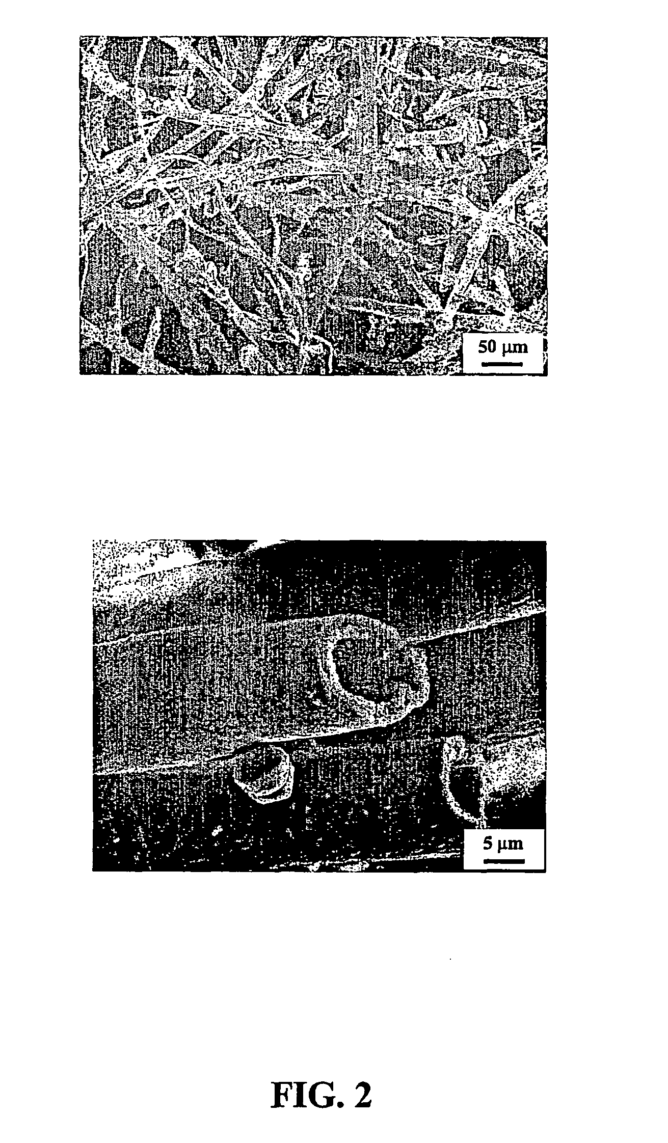 Fibrous composite for tissue engineering