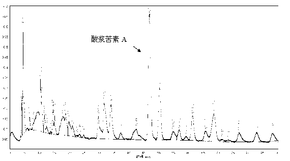 Physalin A extracting process and medical application thereof