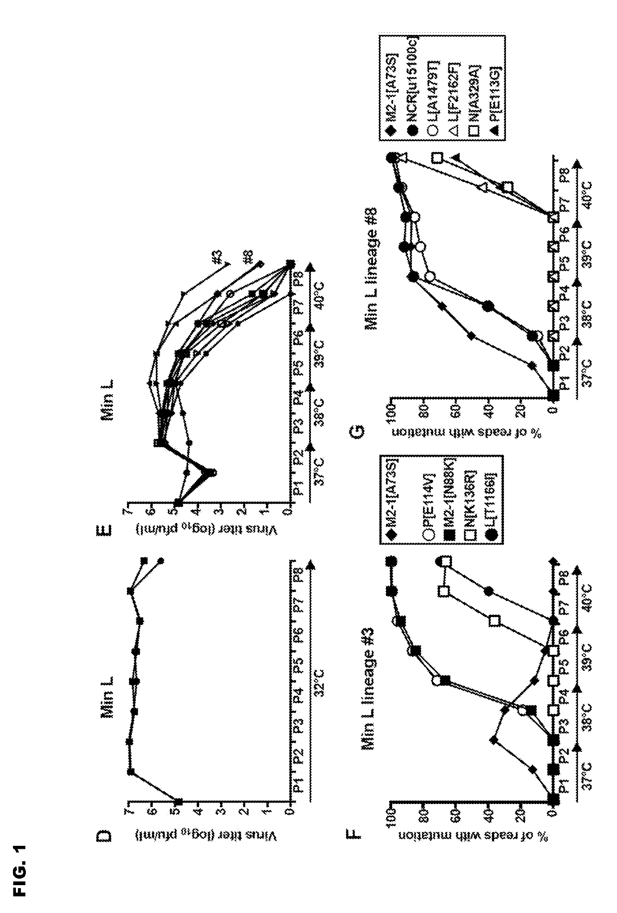 Vaccine candidates for human respiratory syncytial virus (RSV) having attenuated phenotypes