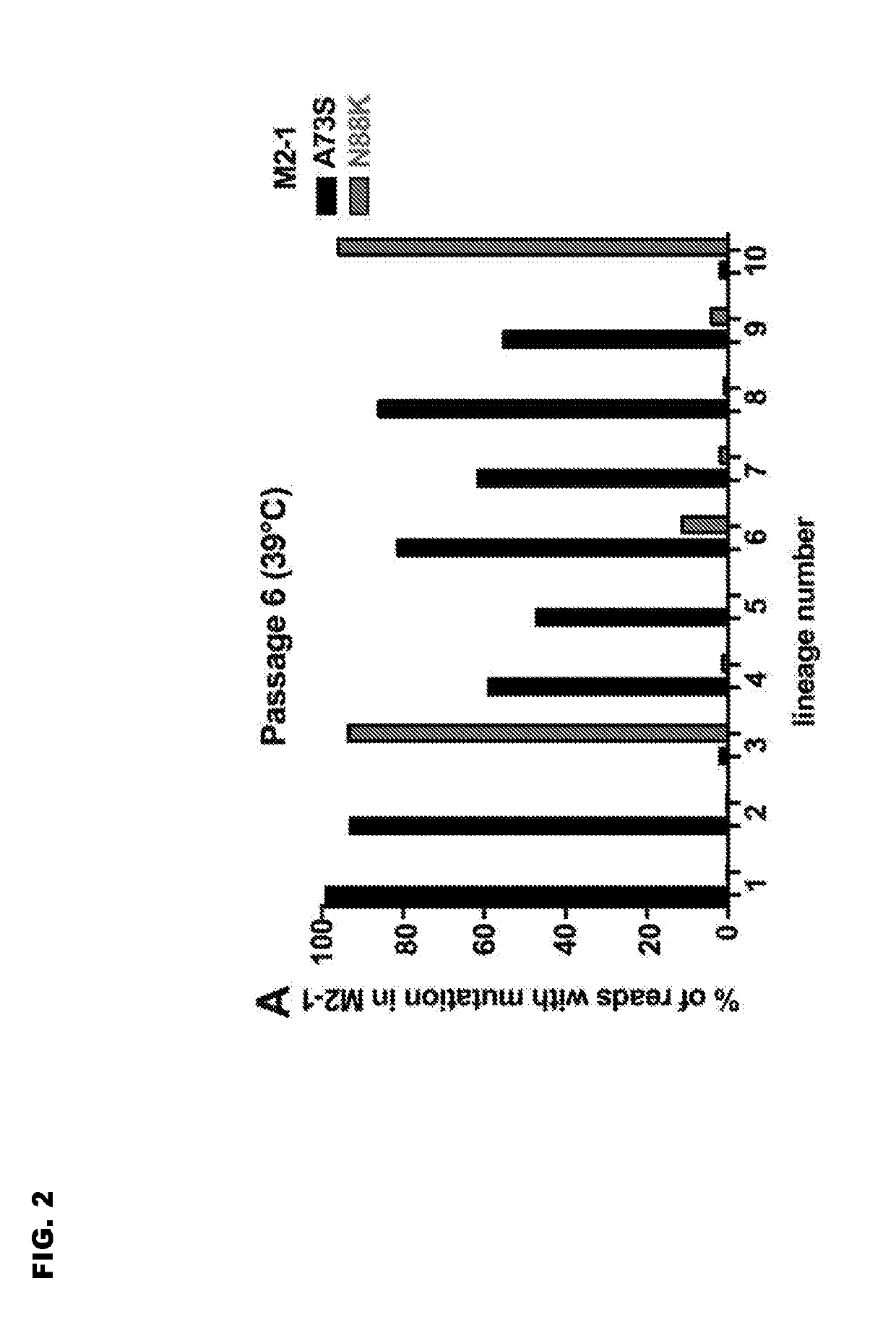 Vaccine candidates for human respiratory syncytial virus (RSV) having attenuated phenotypes