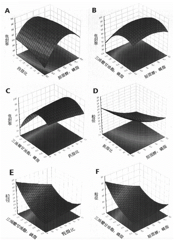 Oleanolic acid polycystic lipidosome and preparation method and application thereof