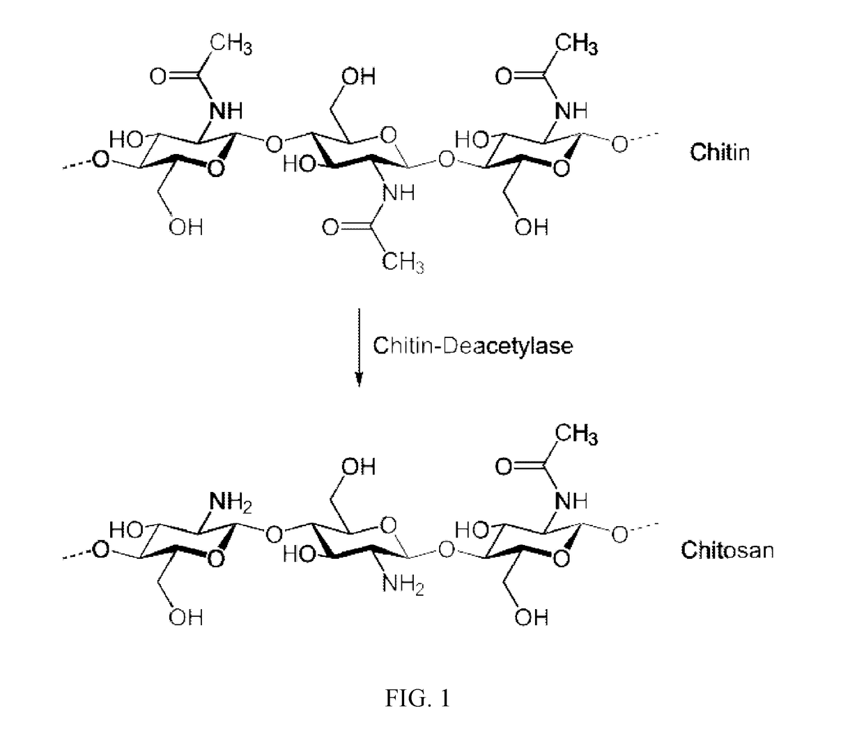 Transmucosal cannabinoid formulation including a chitosan excipeint