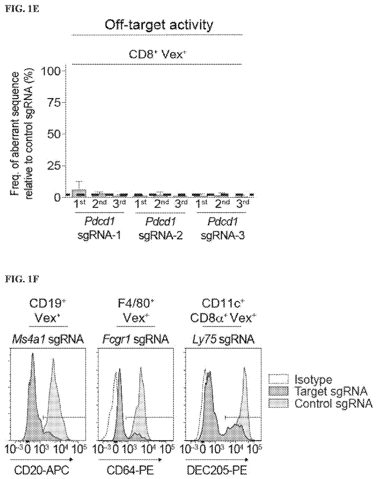 Modulating ptpn2 to increase immune responses and perturbing gene expression in hematopoietic stem cell lineages