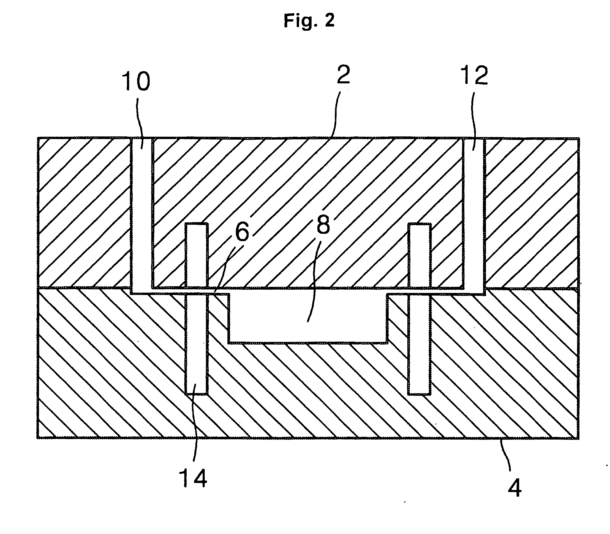 Apparatus and method for amplifying a polynucleotide