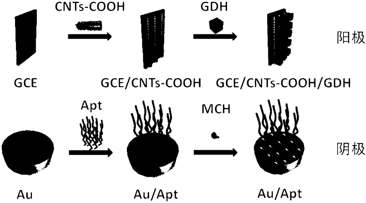 Self-energized nucleic acid aptamer sensor and preparation method and application thereof