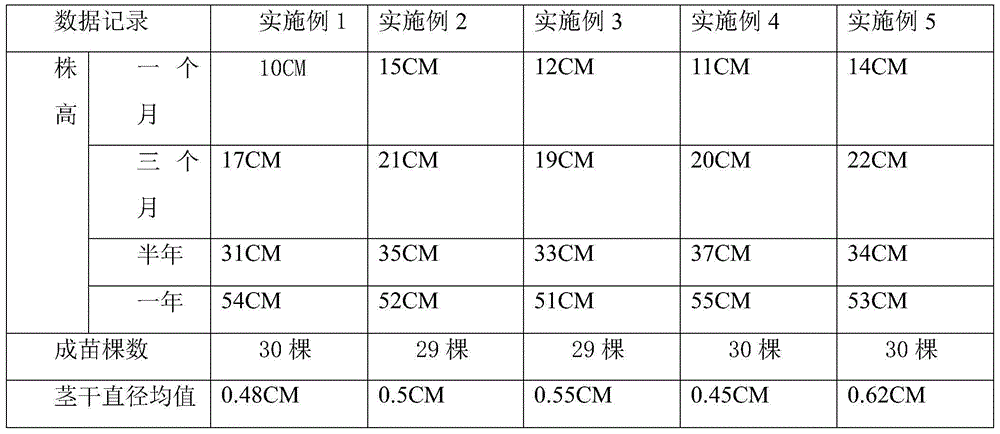 Cultivation method for dendrobium officinale