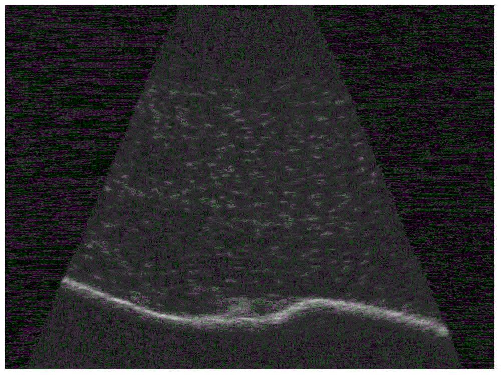 Visual measurement and 3D reconstruction method of model terrain in muddy water