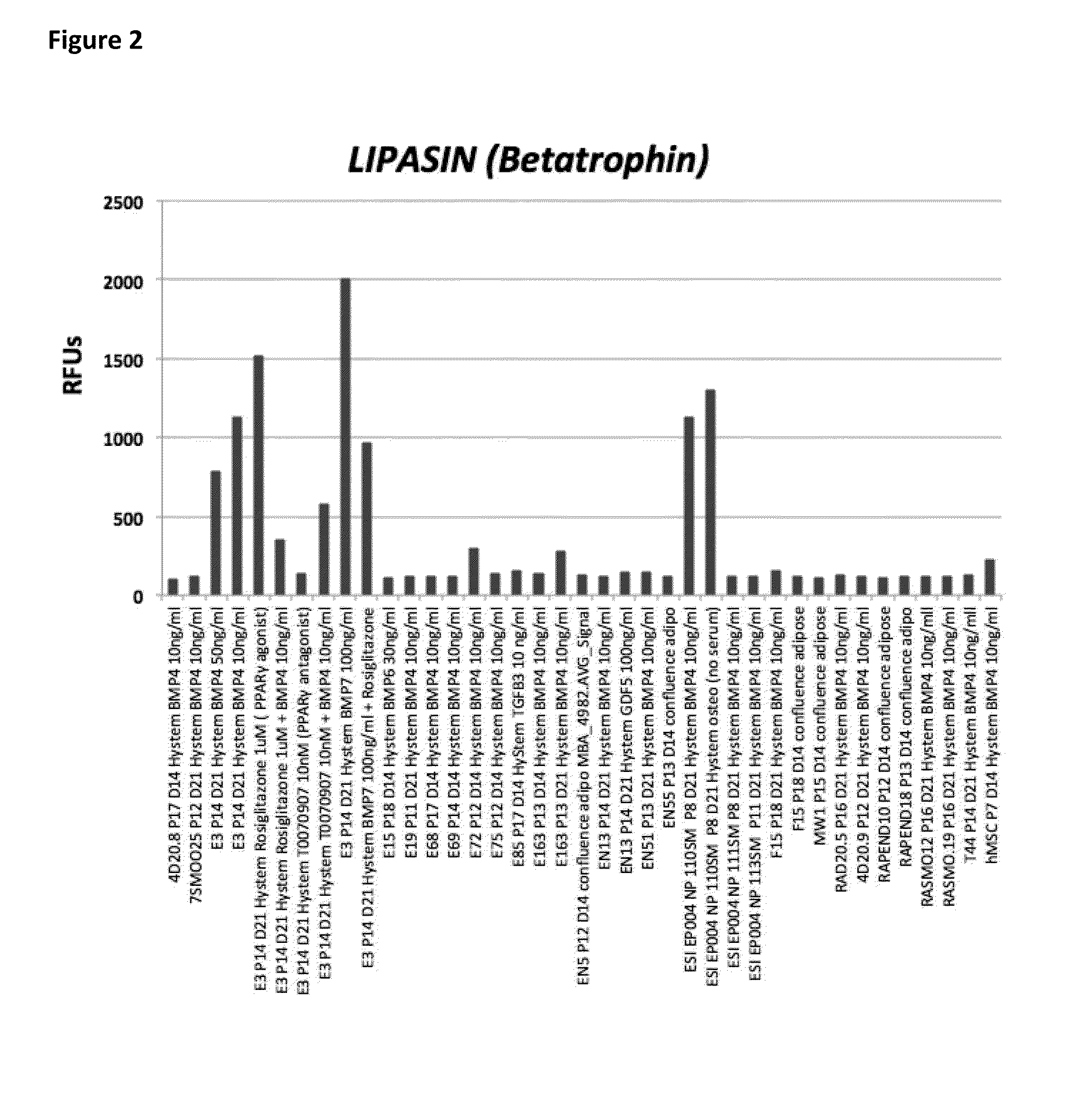 Methods For Generating Pluripotent Stem Cell-Derived Brown Fat Cells