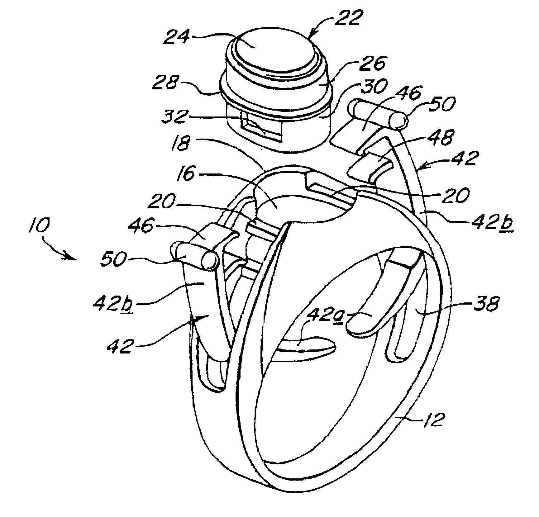 Interchangeable ring