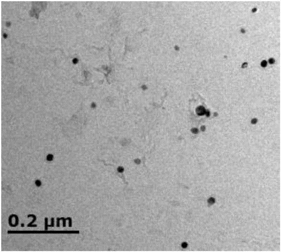 Novel dispersion-strengthened low-activation radiation-resistant martensitic steel and heat treatment technology thereof