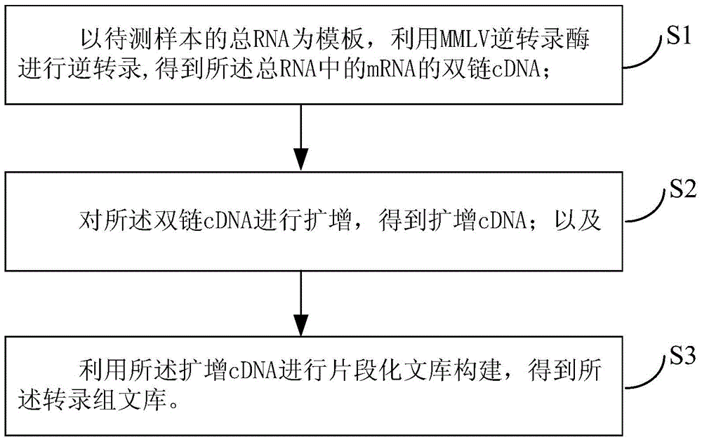 Transcriptome library and construction method thereof