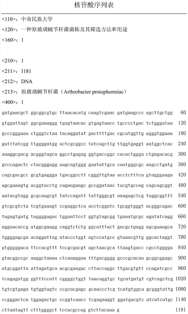 Arthrobacter protophormiae strain, screening method and uses thereof