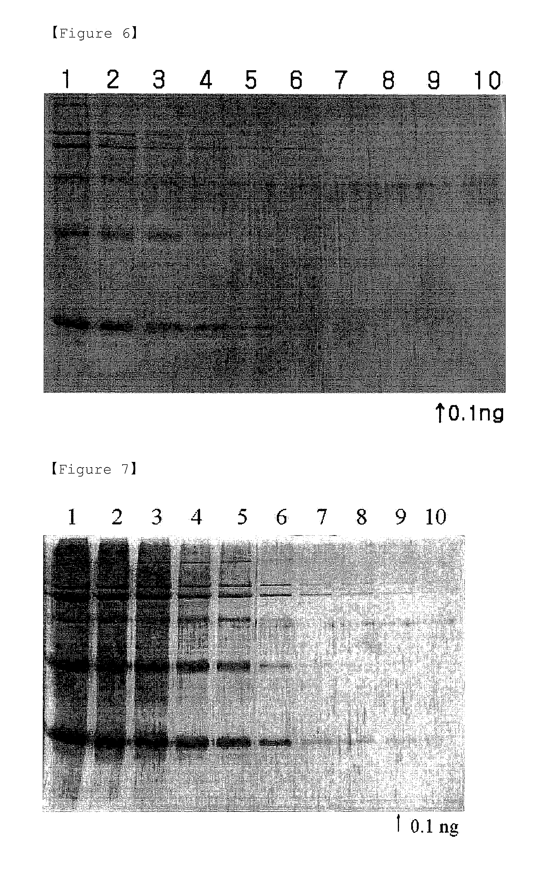 Detection methods of proteins on polyacrylamide gels using gel background staining and organic dye compositions for the same