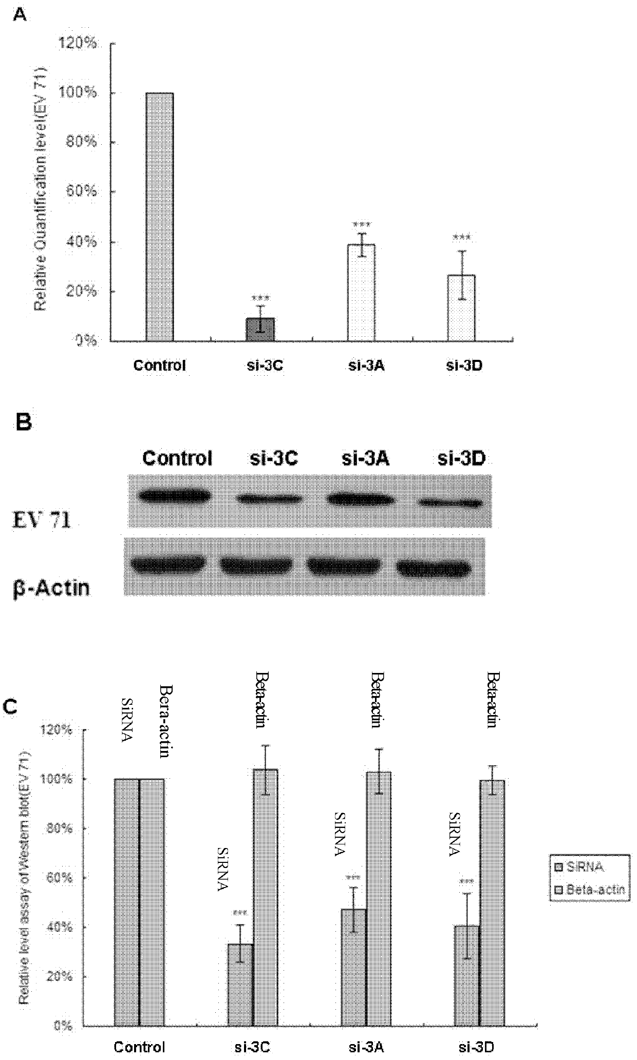 Interfering RNA (Ribonucleic Acid) for suppressing hand-foot-and-mouth disease virogene, vector containing the same and application thereof