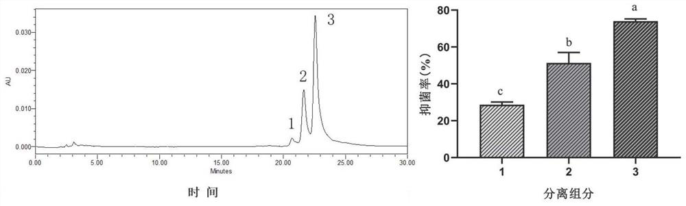 Ovotransferrin antibacterial peptide and preparation method thereof