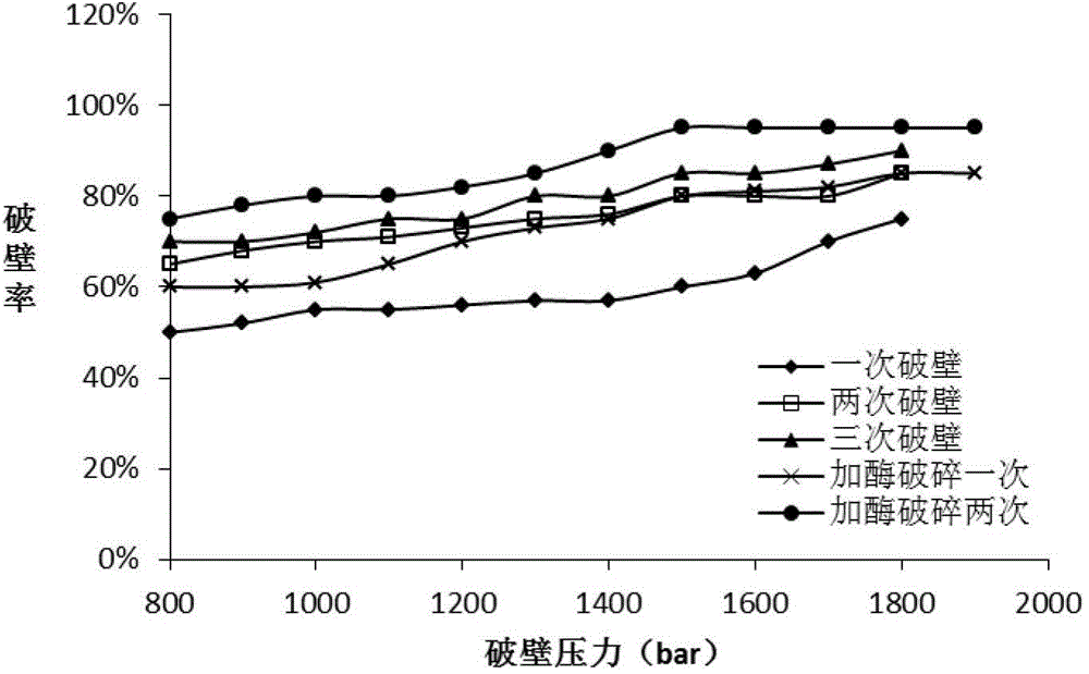 Beer yeast cell disruption method adopting synergetic enzyme and mechanical disruption