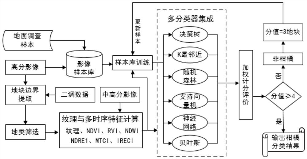 Hilly area citrus planting plot monitoring method and system based on remote sensing images