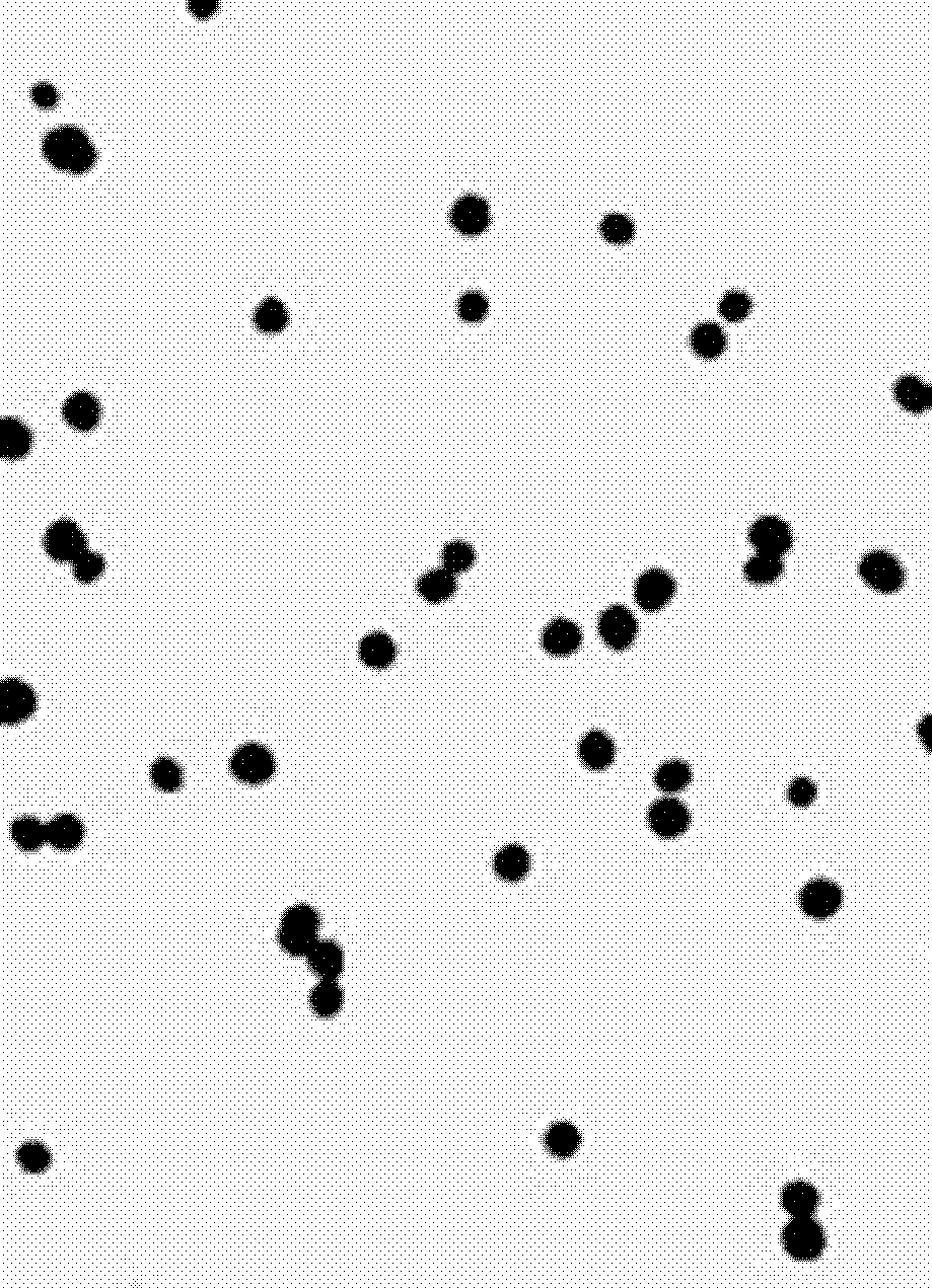 Immunosensor for detecting aspergillus parasiticus used for producing aflatoxin and preparing method thereof