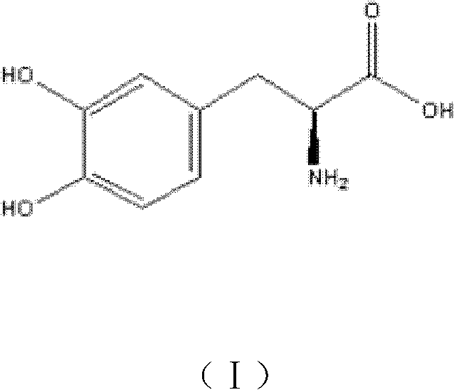 Application of stizolobium cochinchinensis seed extract to preparation of medicament for treating Parkinson's disease accompanied by sleep disorder